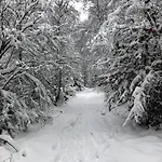 דירה Sauerlandblick אלטנה