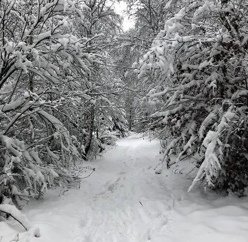 Apartamento Sauerlandblick Altena